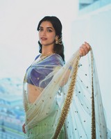 Bhagyashri Borse Stuns in Timeless Traditional Elegance